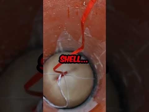 WOW! 🤩 Crazy 16" FIREWORK