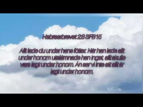 Det stora, ultimata hoppet för hela skapelsen i Jesus Kristus