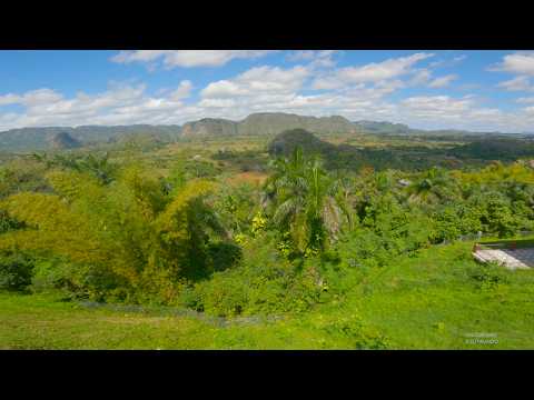 【4K】Vinales de luna y dolor.Cuba Nostalgia.Dedicado a MogoteArt y a los vinaleros.