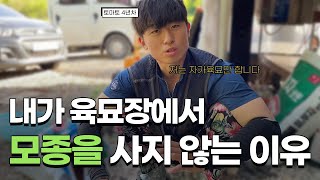 저는 모종을 직접 키웁니다.