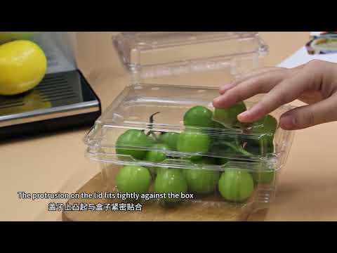 Say goodbye to soggy salads – Try this PET container! 🥗