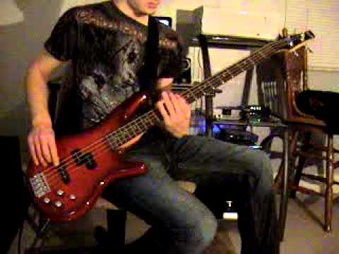 Three Days Grace - Never too Late (Bass Cover) video thumbnail