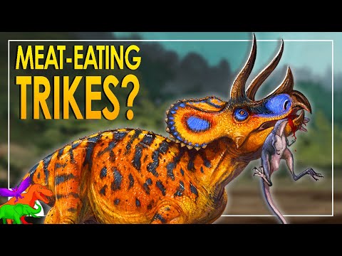 角のある恐竜は肉食だったのか? – 白亜紀の死体を砕く角竜類