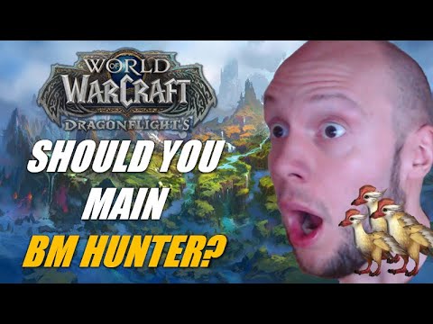 Should You Main BM Hunter Dragonflight