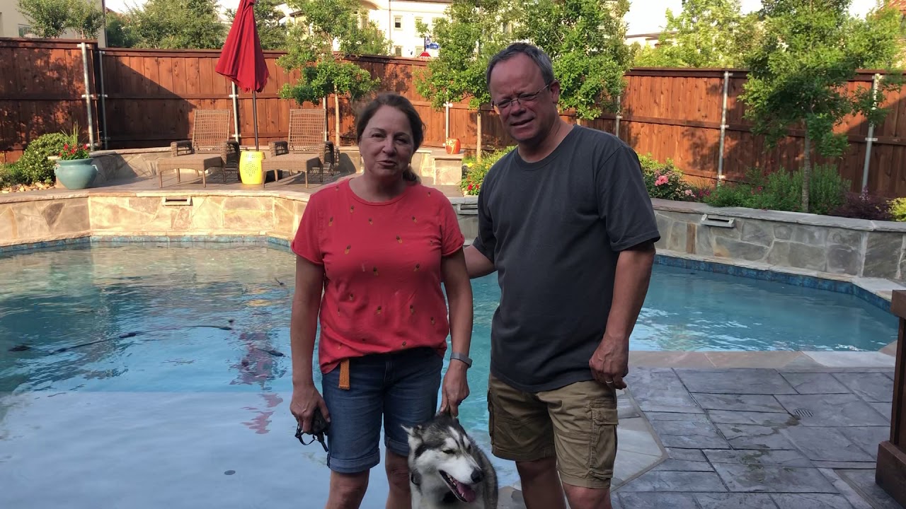 Keller Dog Training | Tip Top K9 Reviews