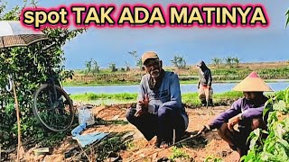 Download lagu Spot anti boncos // mancing rawa pening terbaru mp3 Download lagu Spot anti boncos // mancing rawa pening terbaru mp3