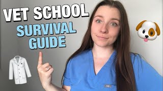 THE 5 MOST IMPORTANT THINGS I LEARNED IN SECOND YEAR OF VET SCHOOL🐾