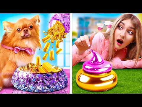 La famille d'un millionnaire a adopté un pauvre chien !