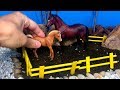 La Granja De Caballos Caballos De Juguete En Animales De La Granja