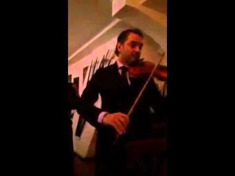 Costy Cocos - Program vioara 2014