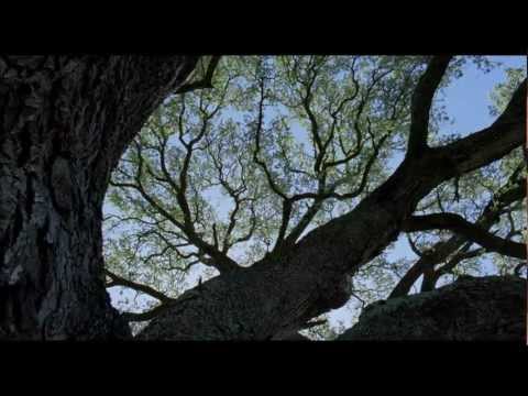 Funeral Canticle (From "The Tree of Life")