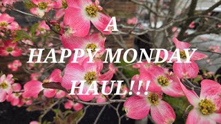 HAPPY MONDAY!!!🍒BUDGET FRIENDLY MONEY SAVING GOODWILL/EBAY HAULS🍒4-20-26🍒LILLEYBUGGLANE 🇺🇸*NO* *AI*