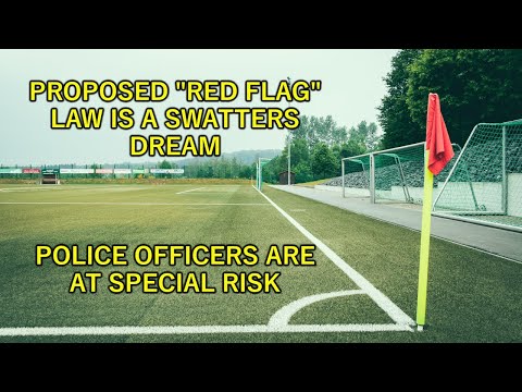 The "Red Flag" Gun Ban Provisions In Bill C-21 Are Ripe For Abuse - A Lawyer Explains