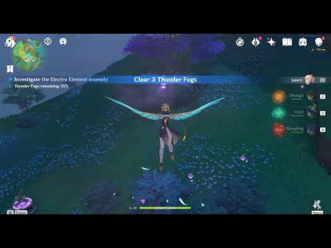 Video preview