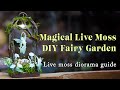 Fairy Moss Garden Handmade Forest Diorama Fairy Lantern Tutorial