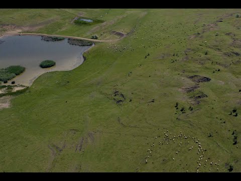 Aerial view- Ungureni, Iunie 2021