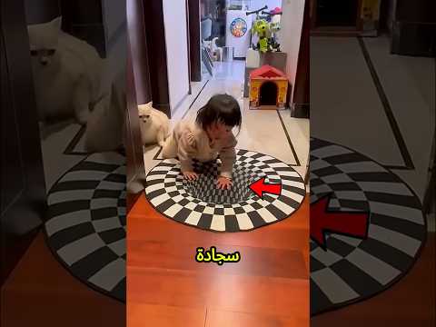البنت دي بتعلّم قططها إزاي متخافش وتعتمد على نفسها🥹💪❤️