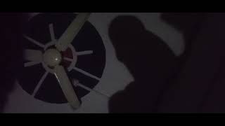 Download lagu Live sleep stream video #sleeptream shadow play gay boy live streaming  mp3