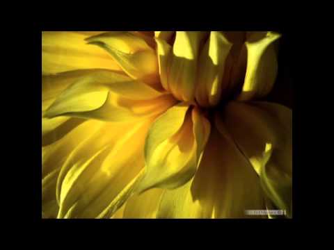 13η Θεματικη Ανοιξη οι συμμετοχες