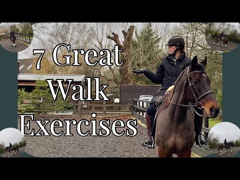 WALK SCHOOLING EXERCISES FOR HORSES | Dressage Training | Equestrian