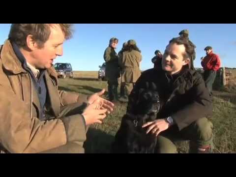 Shooting 10 species in a day Shooting 10 species in a day