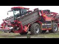 Holmer Daf MAN Rübenverladung Loading Beets 2021