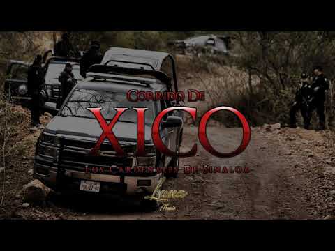 Cardenales de Sinaloa-corrido del xico