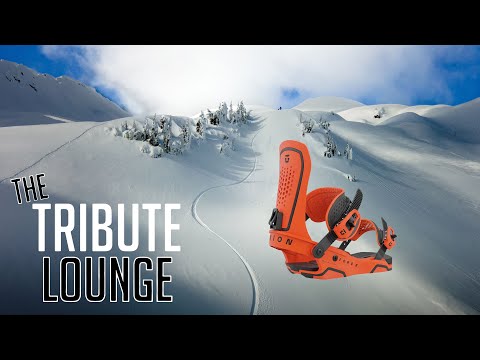 The New Union Force Binding & 2024 Union Overview ( All Models)