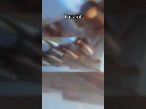 Forgotten legend #aviation #avgeeks #concord #boeing2707