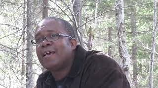 David B Whitley “I can only be me” (prod. by Stevie Wonder) Official Video