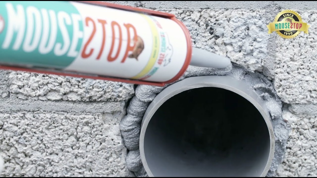 Musebørste og gnagerstopp