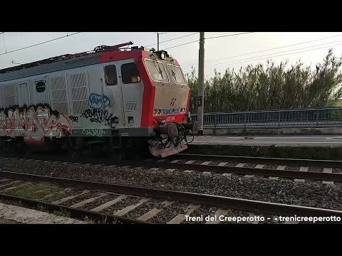 Treno Merci con E652.101 MIR in transito a Bolgheri (19/05/2024)