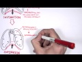 Mechanism of Breathing