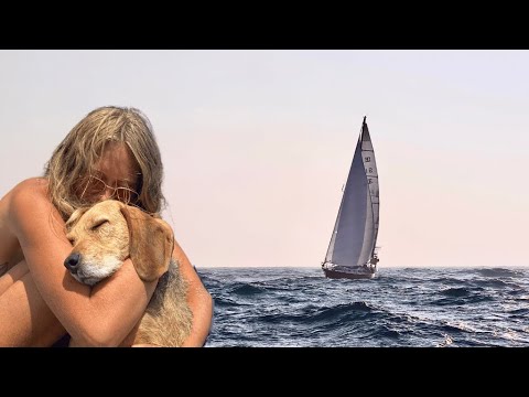 Sailing Sweden's Archipelagos with My Dog Neno | Solo Adventure Pt 1 SMAS E1