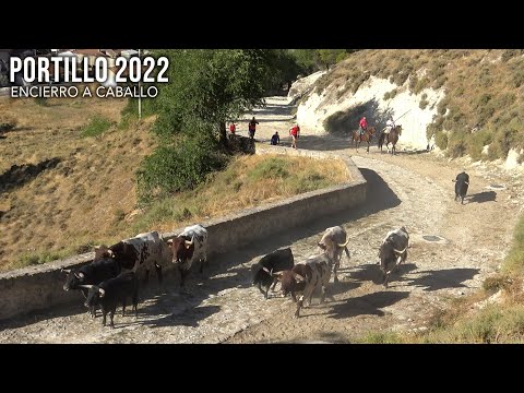 Encierro a Caballo con Toros Bravos Portillo 2022