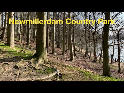 Newmillerdam Country Park Circular Walk in 4K