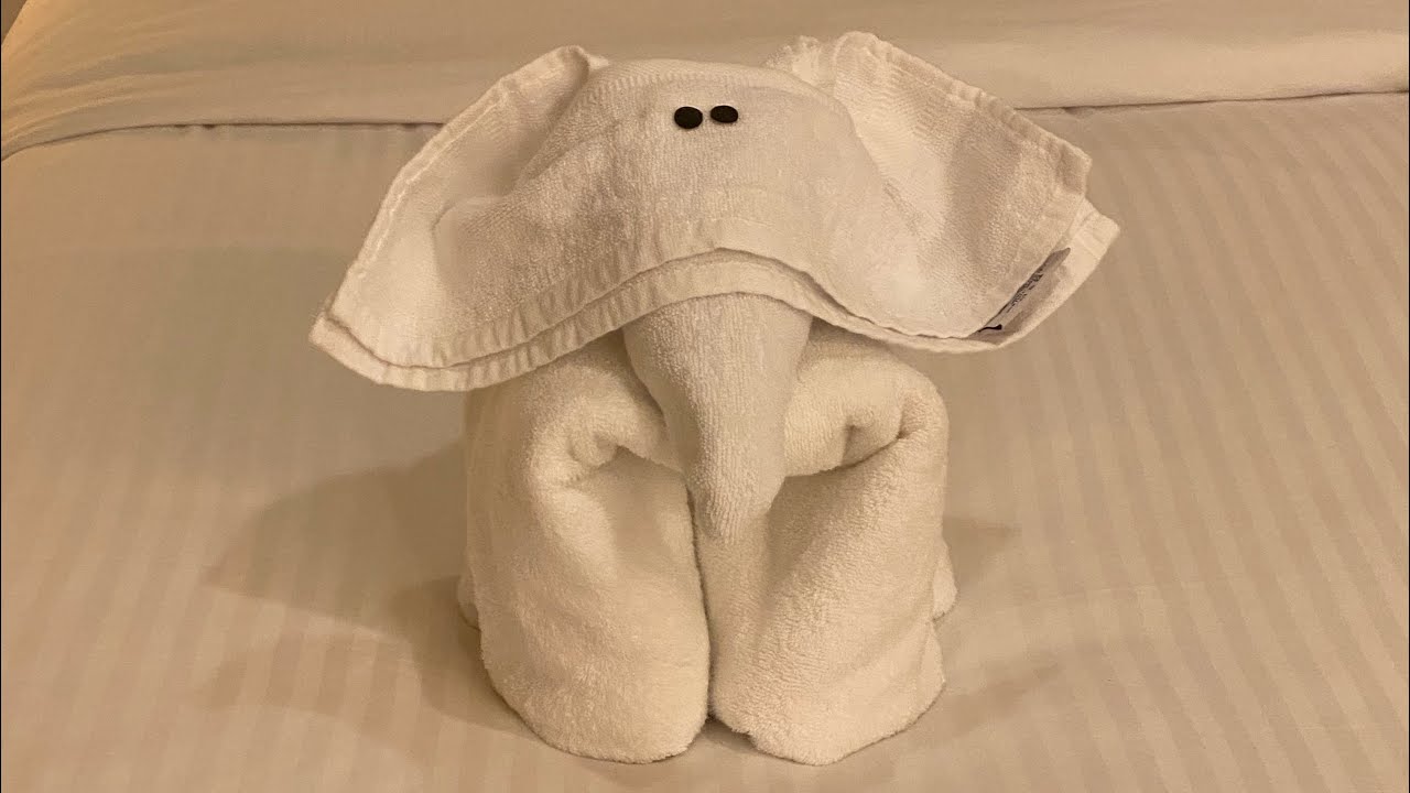 Carnival Magic - Cabin 2336 - Video 2