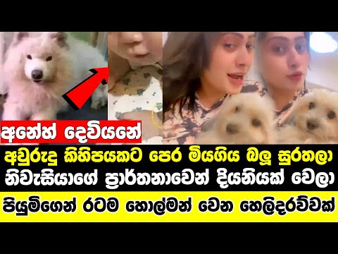 A Dog died and was reborn as a daughter, says Piyumi Hansamali