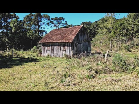 NO FUNDO DO INTERIOR/TAINHAS/ITATI RS