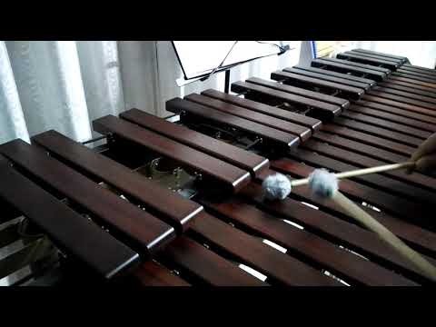 Inni di lode N°428: Sento pace, allegrezza Marimba Cover