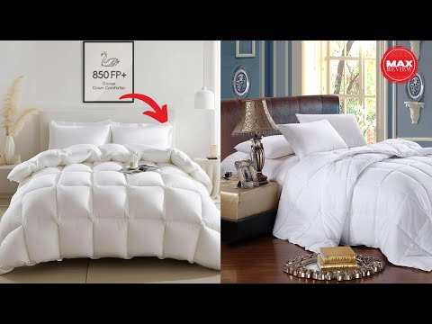 Top 5 Best Down Comforter For The Money 2024