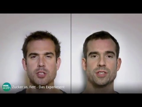 Zucker vs. Fett