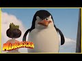 DreamWorks Madagascar en Español Latino | Los Pinguinos de Madagascar: Escenas Graciosas