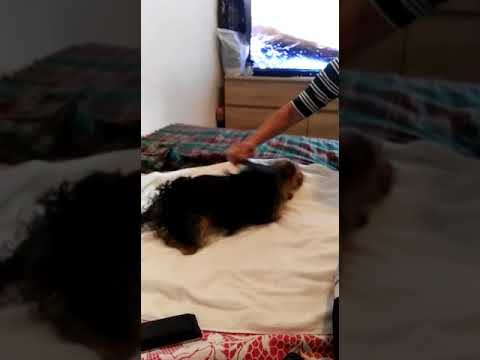 13 de febrero de 2020