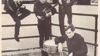 The Milkshakes "Please Don't Tell My Baby"