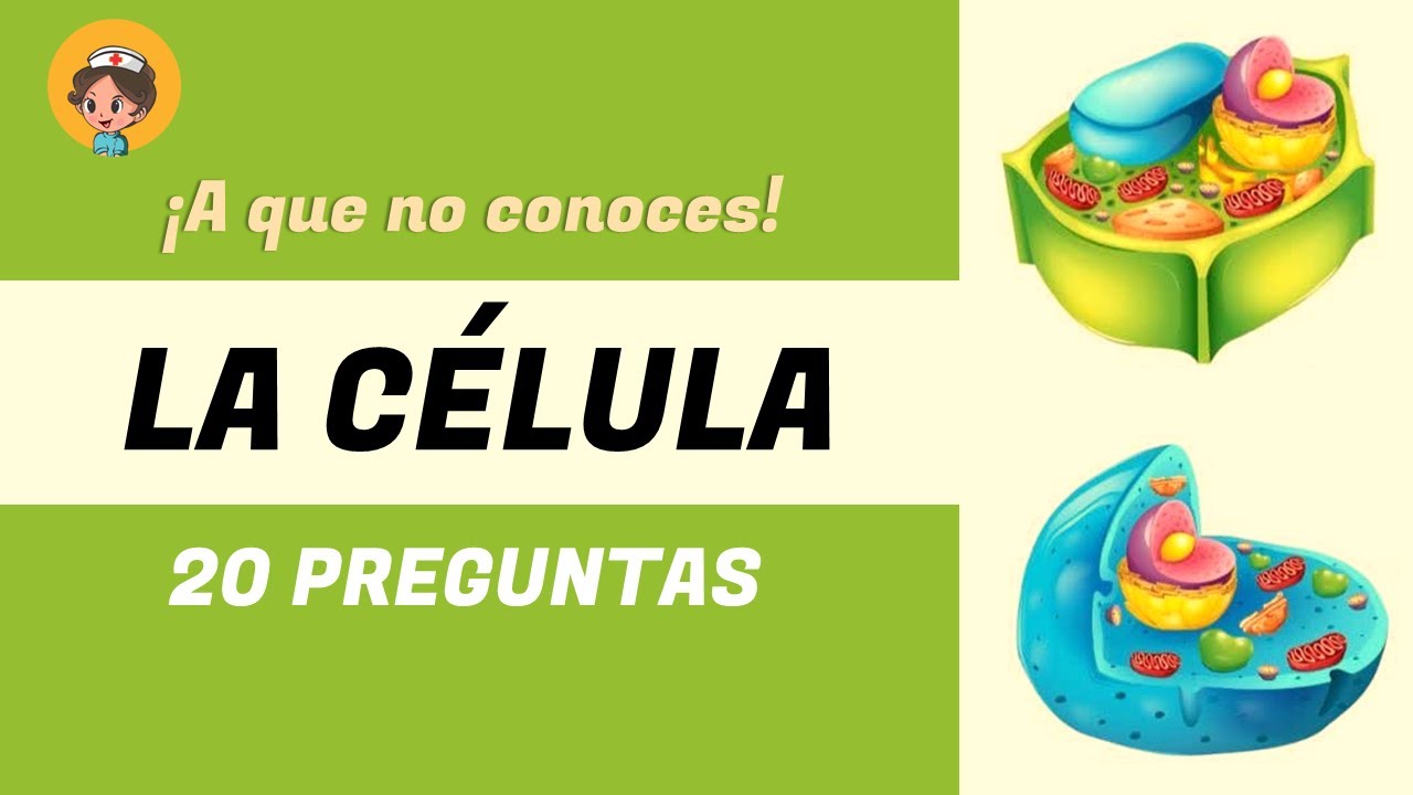 [Test] LA CELULA | 20 preguntas y respuestas