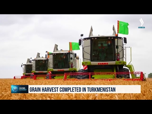 Түркмөнстанда дан эгиндерин жыйноо аяктады