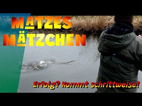Matzes Mätzchen - Erfolg? Immer schrittweise!