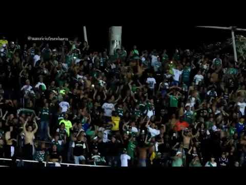 "¡VAMOS, DALE VERDE!, ¡VAMOS, DAME UNA ALEGRÍA!" Barra: Frente Radical Verdiblanco • Club: Deportivo Cali