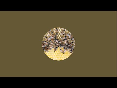 Binder zu Marie, Jan, Ralf und Bickel